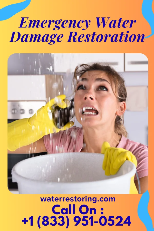 Emergency Water Damage Restoration in Newville, AL
