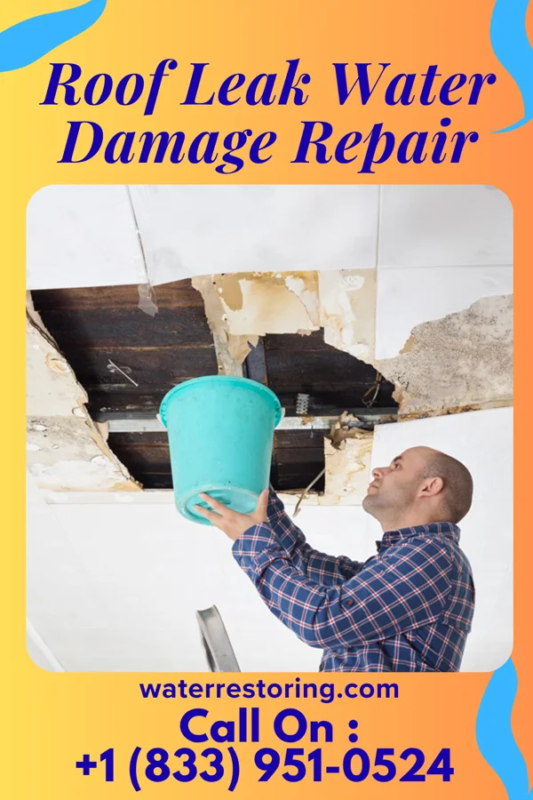 Roof Leak Water Damage Repair in Newville, AL