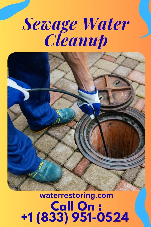 Sewage Water Cleanup in Newville, AL