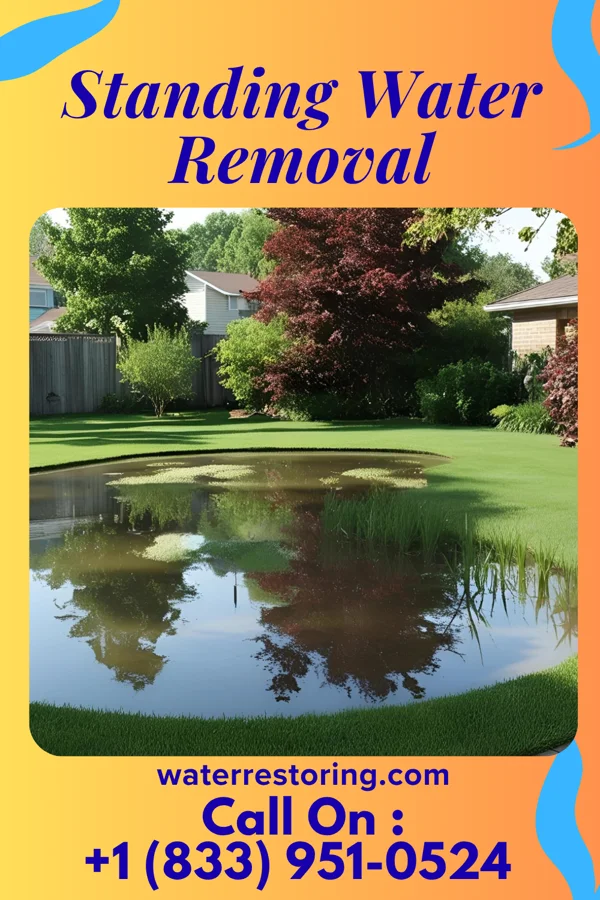 Standing Water Removal in Newville, AL